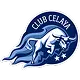 Celaya FC